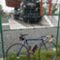 bedciclisti