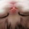 ����ꤢ