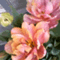 LoveFlower